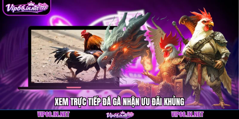 Xem trực tiếp đá gà nhận ưu đãi khủng